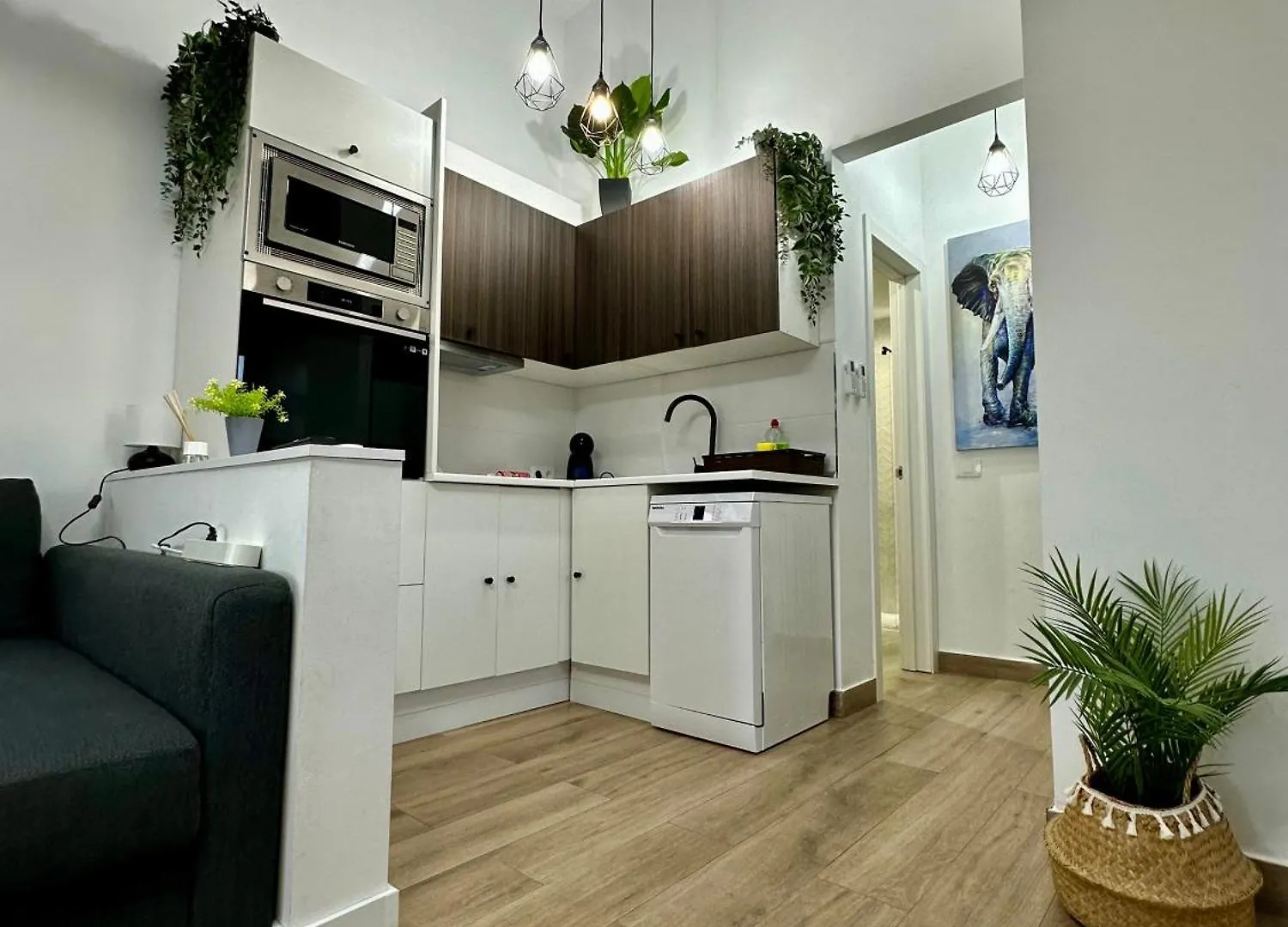 סן מיגל דה אבונה La Fiesta Apartman 0*, סן מיגל דה אבונה ספרד